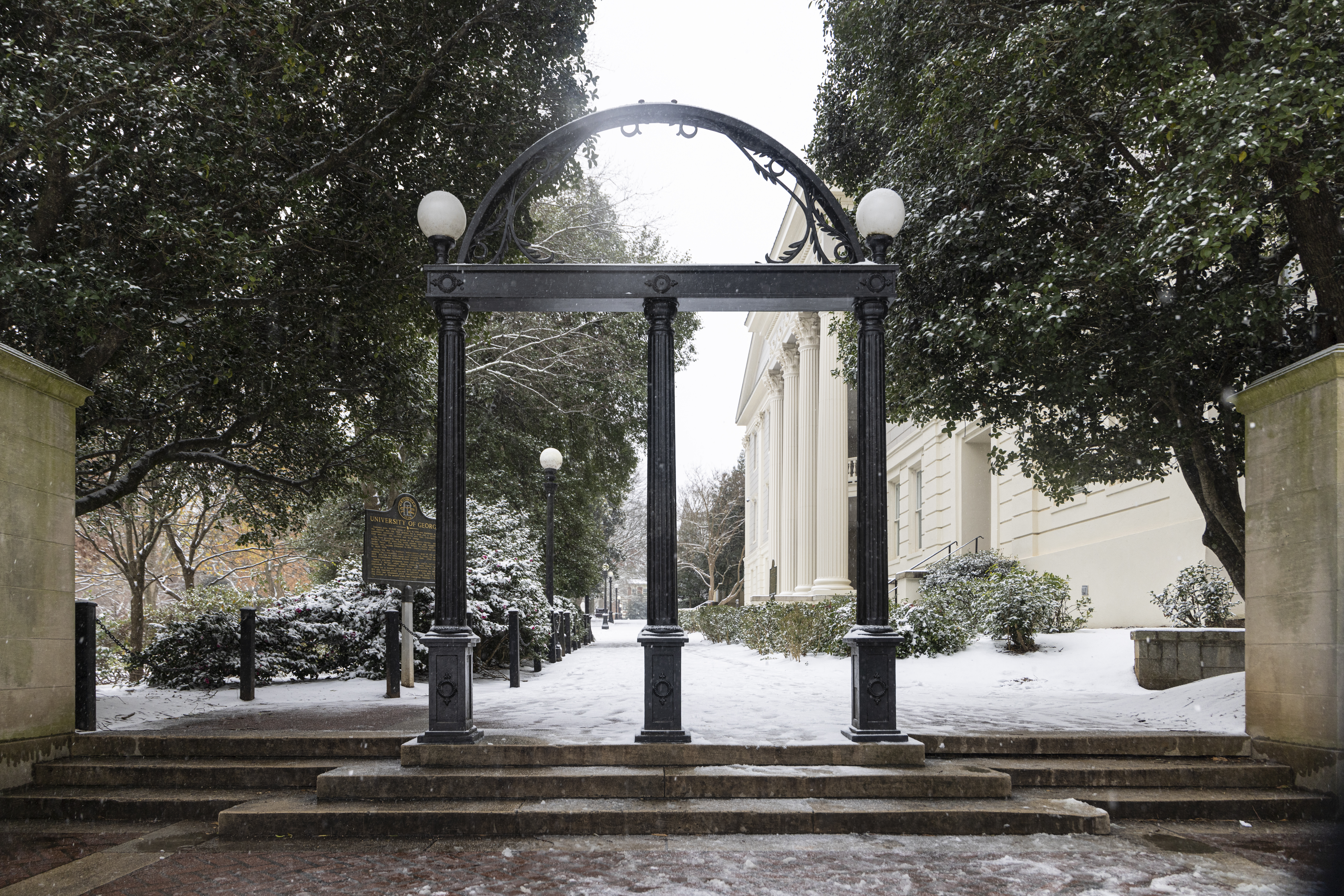 UGA Financial Management